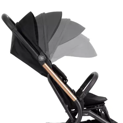 Bagi Atom Bebek Arabası Black Gold - 6