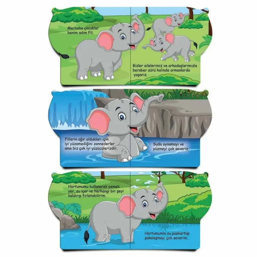 Ben Kimim Hayvanlar 6 lı Set - 4