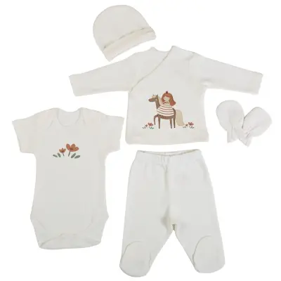 Bm Fabric Prenses Desenli Yenidoğan 5'li Hastane Çıkışı Kız Bebek