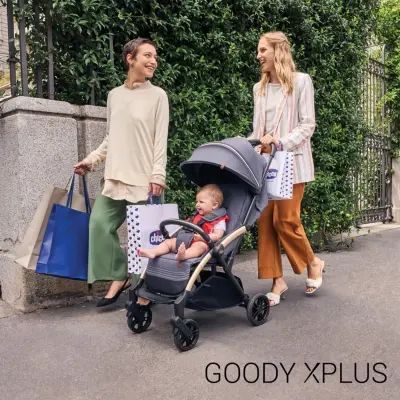 Chicco Goody Xplus Kabin Travel Sistem-Seyahat Sistem Bebek Arabası Bronze Lizard Re_Lux - 9