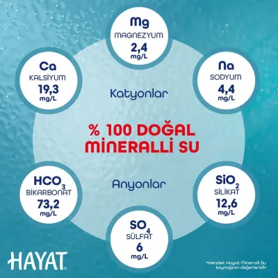 Hayat Doğal Mineralli Su 6lı - 18