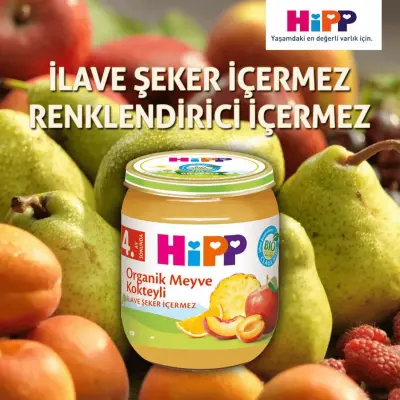 Hipp Organik Erik Püresi 125 gr x3 - 9