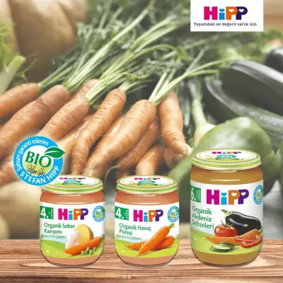 Hipp Organik Sebze Karışımı 125 gr x3 - 6