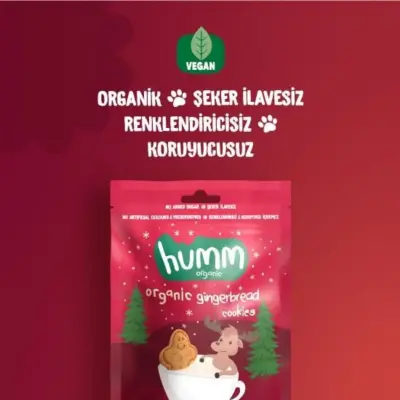 Humm Organic Tarçınlı ve Zencefilli Kurabiye 55 gr - 3