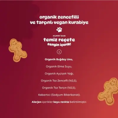 Humm Organic Tarçınlı ve Zencefilli Kurabiye 55 gr - 5