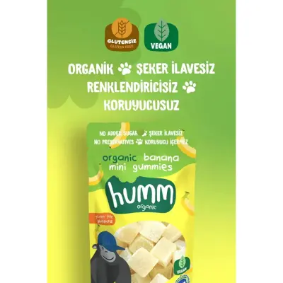 Humm Organik Glutensiz Vegan Muzlu Mini Küpler 30gr - 2