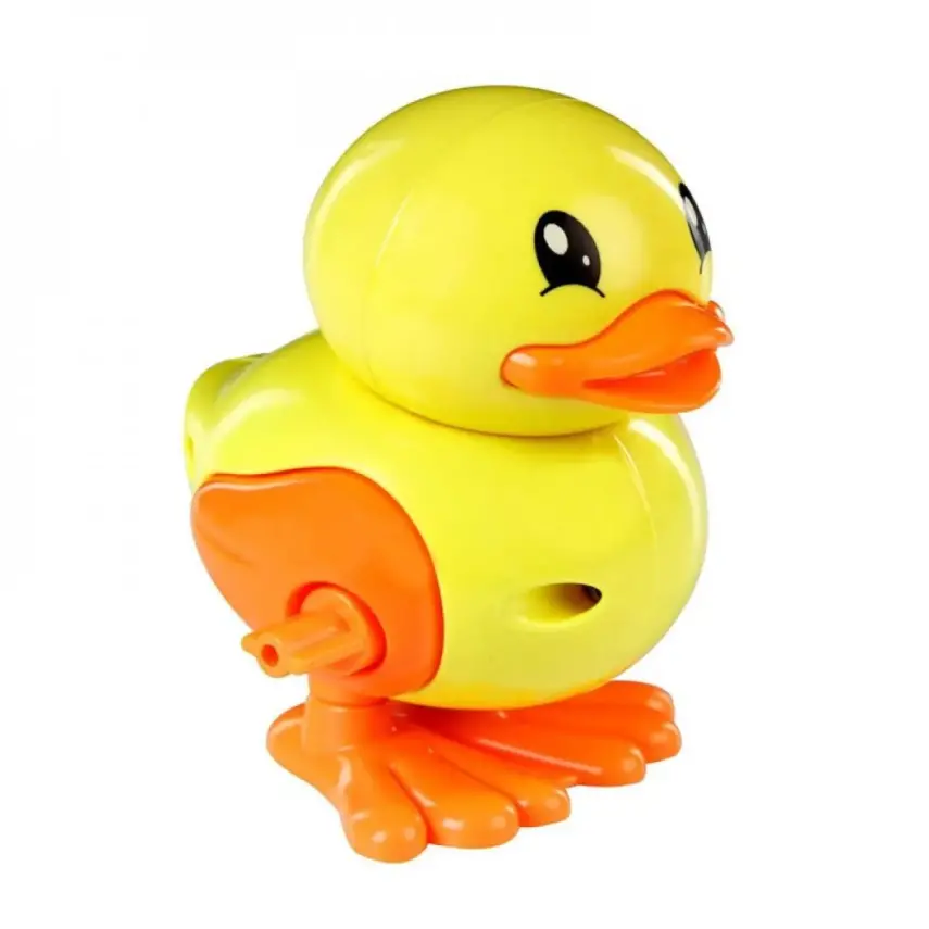 Kurmalıgiller Ördek  - 1