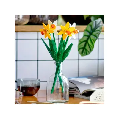 Lego Iconic Nergis 40747 - 2