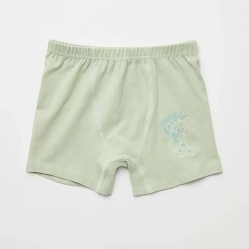 Natuline Organik Erkek Boxer Likralı Freestyle Robot 2li Çağla Yeşili - Lacivert - 3