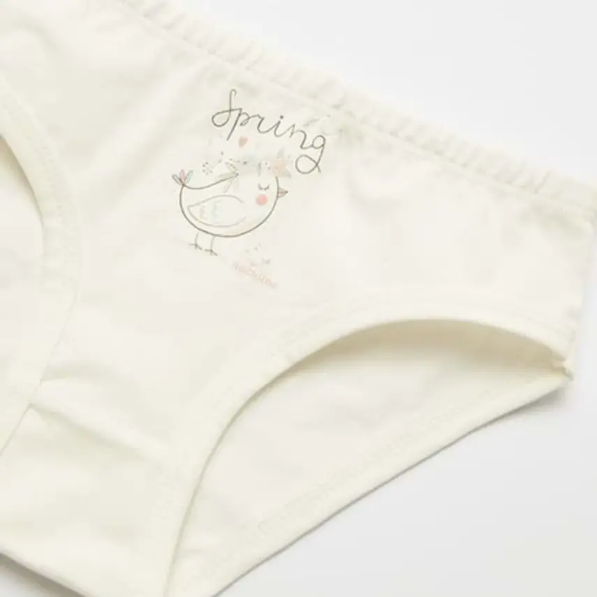 Natuline Organik Kız Slip Likralı Spring Bird 2li Pembe - Ekru - 4