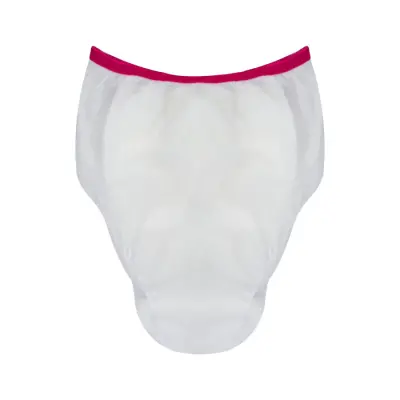 Sevi Bebe Tek Kullanımlık Lohusa Külotu 5li