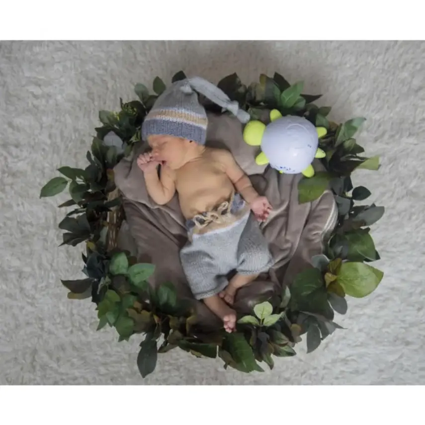 Uyku Mucizesi Kaplumbağa - 2